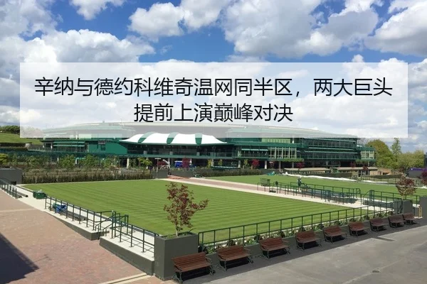 辛纳与德约科维奇温网同半区，两大巨头提前上演巅峰对决