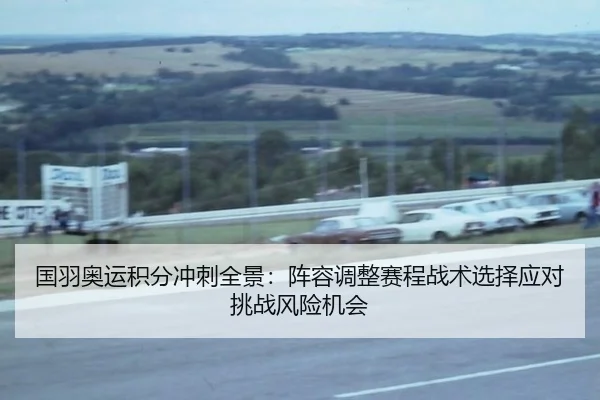 国羽奥运积分冲刺全景：阵容调整赛程战术选择应对挑战风险机会